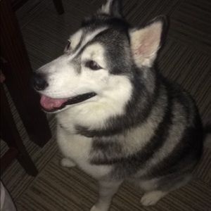 Meet your Posher, Jaime